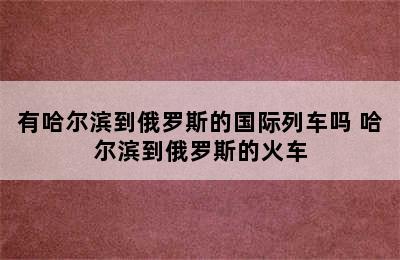 有哈尔滨到俄罗斯的国际列车吗 哈尔滨到俄罗斯的火车